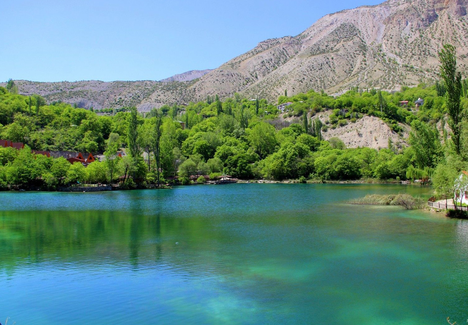 Bağbozumu & Çilek Hasadı
