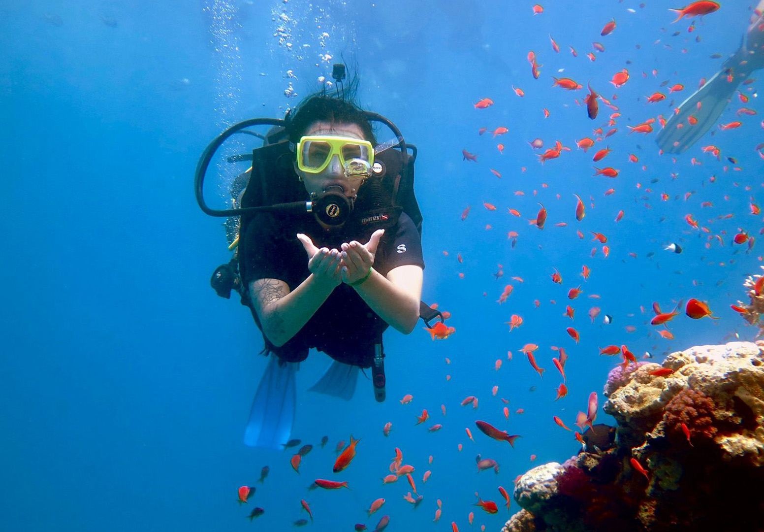 Kahire Giza & Sharm El Sheikh